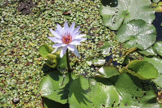 极速快乐十分直播